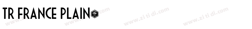 TR France Plain字体转换
